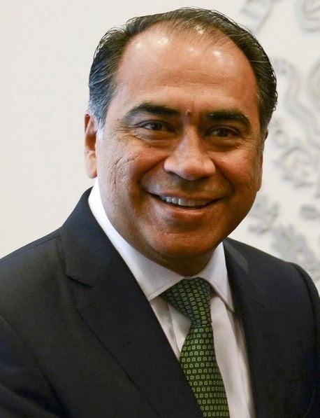 Governor of Guerrero