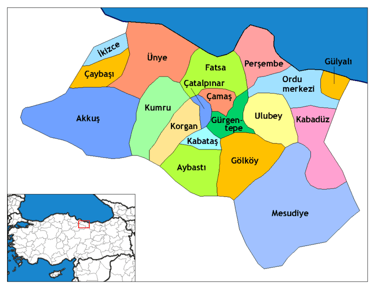 Governor of Ordu