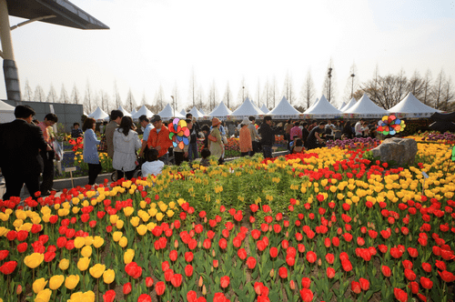 Goyang International Flower Festival https1bpblogspotcomF2sA0pHx9CgVTOX825arI