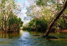 Goyder River httpsuploadwikimediaorgwikipediacommonsthu