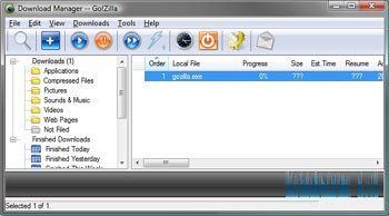 Go!Zilla GoZilla GoZilla Download Manager and Accelerator Screenshots