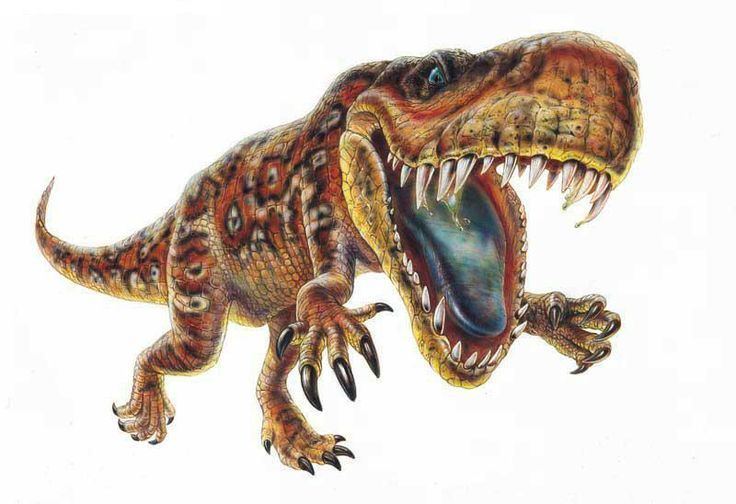 Gracilisuchus Gracilisuchus growling Dinosaurs are the BEST Pinterest