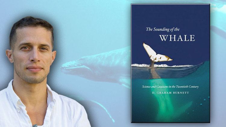 Graham Burnett New Book Details HumanWhale Relationship