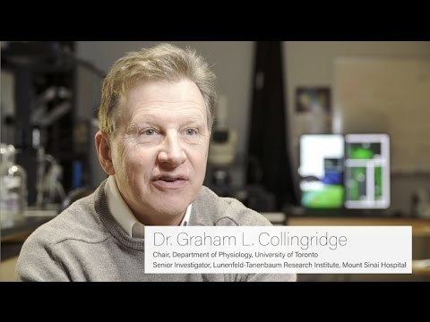 Graham Collingridge Dr Graham Collingridge 2016 recipient of the Brain Prize