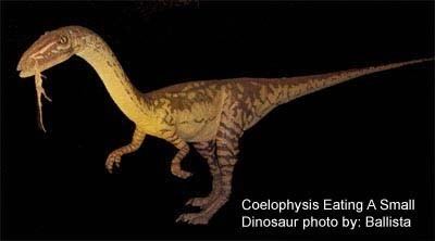Grallator NjGrallator Dinosaur Footprint 1Two Guys Fossils