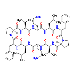 Gramicidin S gramicidin s C60H92N12O10 ChemSpider