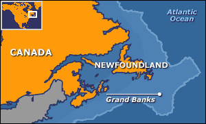 Grand Banks of Newfoundland BBC NEWS ScienceNature Cod39s warning from Newfoundland