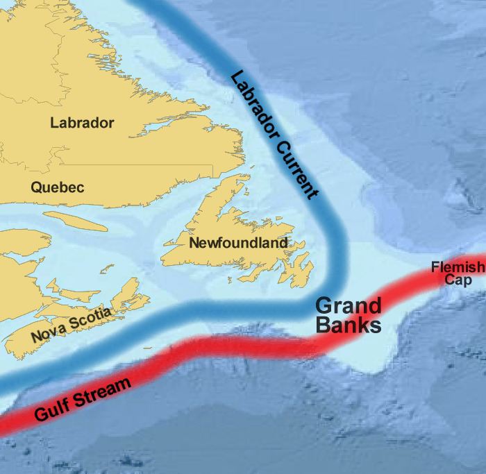 Grand Banks of Newfoundland Grand Banks of Newfoundland Wikipedia