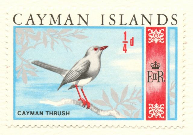 Grand Cayman thrush Cayman Islands plants creatures and habitats