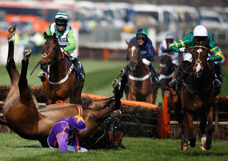 Grand National Grand National 2015 How grand can a race be when some horses snap