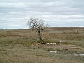 Grand River National Grassland httpsuploadwikimediaorgwikipediacommonsthu
