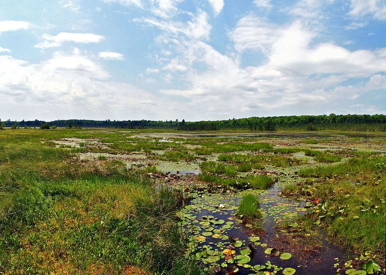 Grandma Lake Wetlands State Natural Area