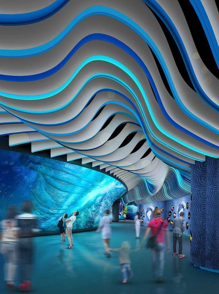 Grandview Mall Aquarium Changsha Grandview Mall Aquarium Peddle Thorp Architects