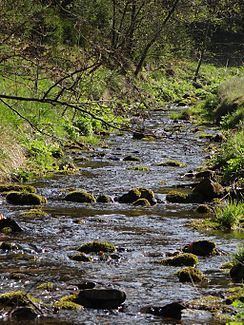 Grane (river) httpsuploadwikimediaorgwikipediacommonsthu