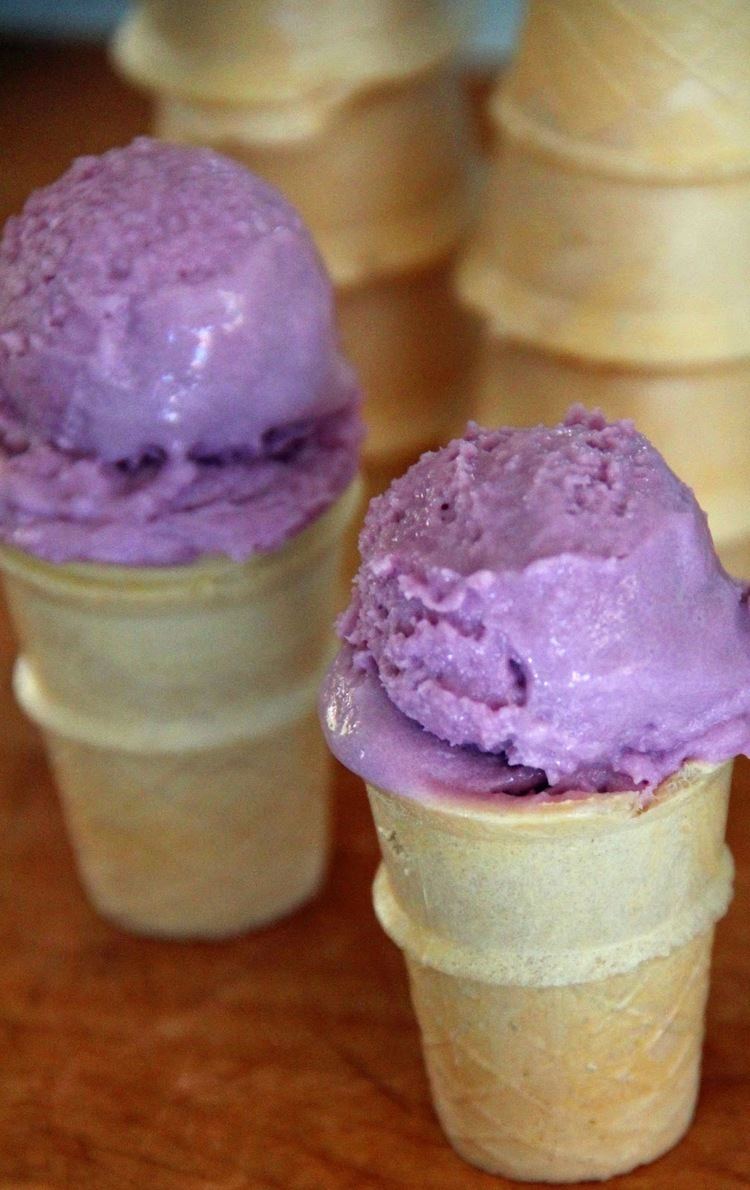 Grape ice cream Jo and Sue Concord Grape Ice Cream