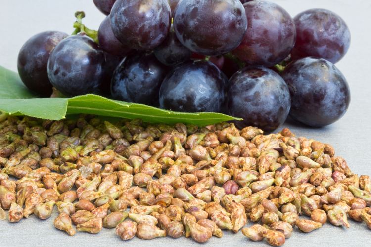 Grape seed extract - Alchetron, The Free Social Encyclopedia