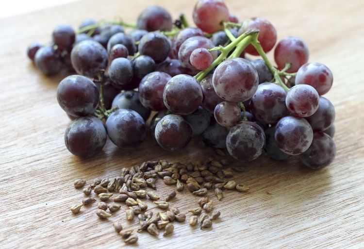 Grape seed extract Grape Seed Extract Superior To Blockbuster Diabetes Drug Preclinical