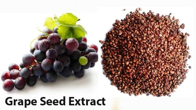 Grape seed extract UNBELIEVABLE GRAPE SEED EXTRACT OUTPERFORMS CHEMO IN KILLING