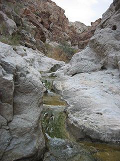 Grapevine Canyon (Nevada) httpswwwnpsgovlakeplanyourvisitimagesgrap