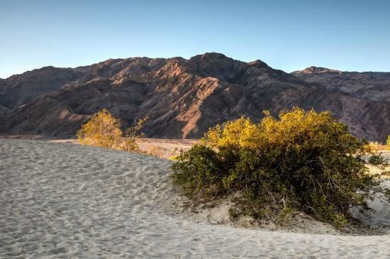 Grapevine Mountains httpsmediacdntripadvisorcommediaphotos06