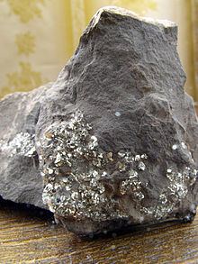 Graptolitic argillite httpsuploadwikimediaorgwikipediacommonsthu