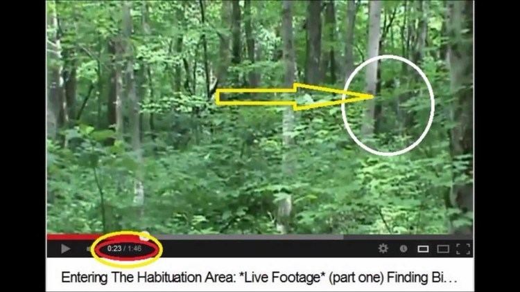 Grassman Six Seconds Of Ohio GrassmanquotFinding Bigfoot YouTube