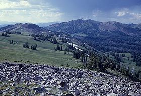 Gray Peak (Wyoming) httpsuploadwikimediaorgwikipediacommonsthu