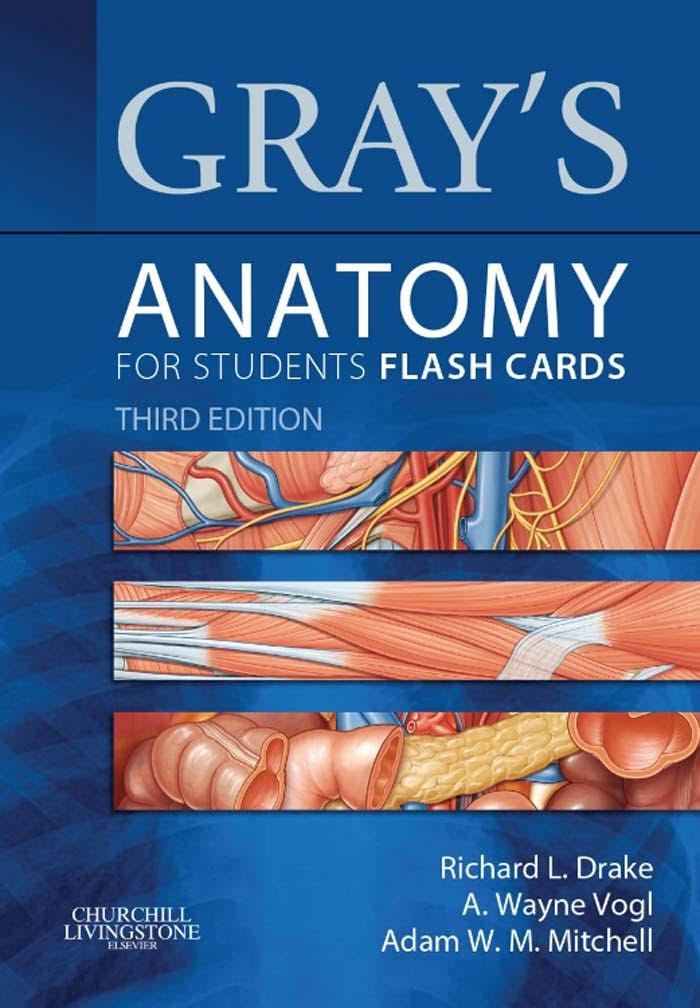 Gray's Anatomy for Students t0gstaticcomimagesqtbnANd9GcQKBqqZIP7gcqfWr