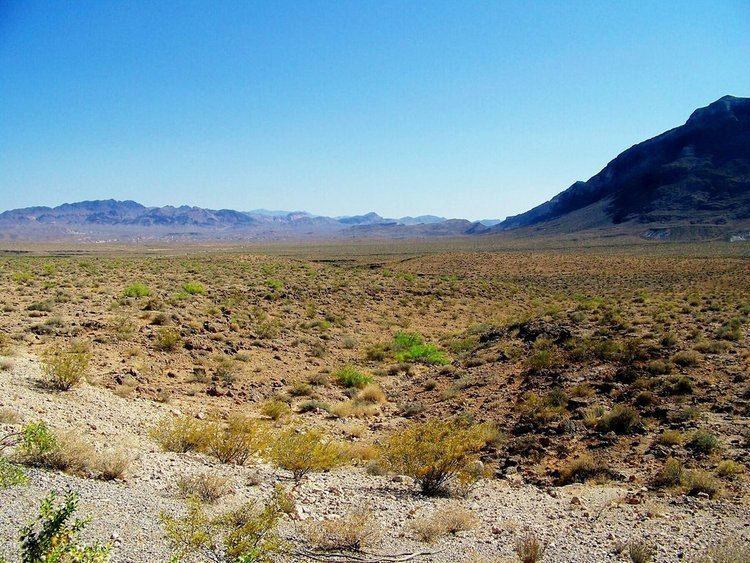 Great American Desert Panoramio Photo of The Great American Desert