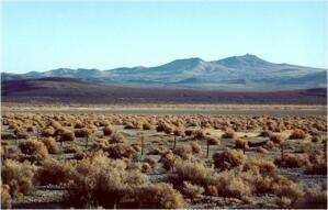 Great Basin Desert GREAT BASIN DESERT