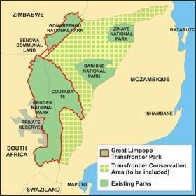 Great Limpopo Transfrontier Park Mozambique39s hand in rhino poaching Youth 4 African Wildlife