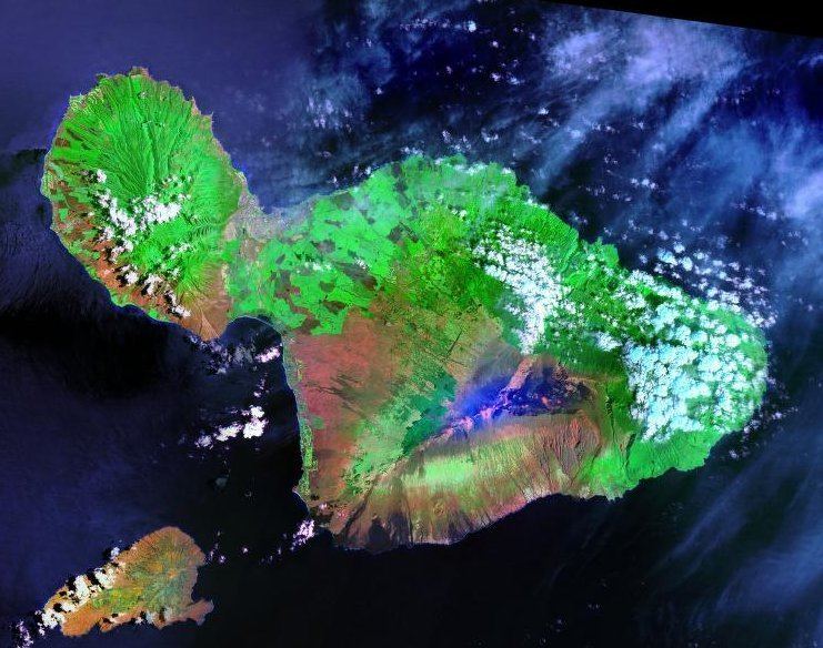 Great Maui crake