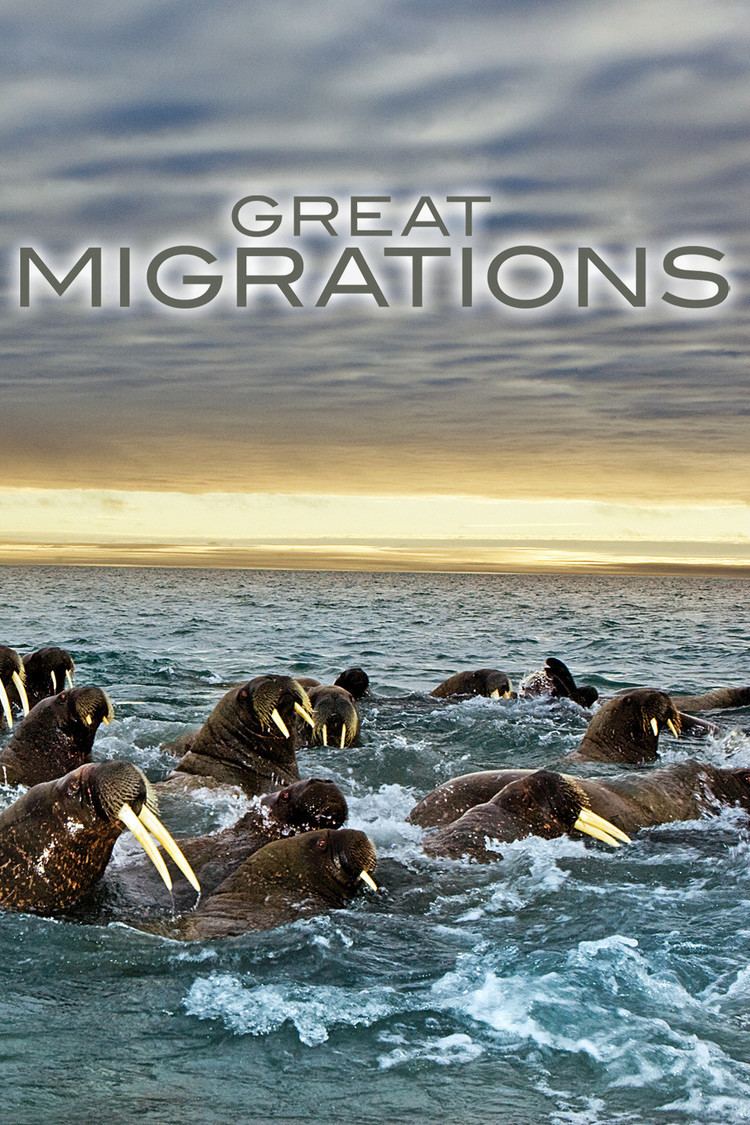 Great Migrations wwwgstaticcomtvthumbtvbanners8333036p833303