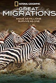 Great Migrations Great Migrations TV MiniSeries 2010 IMDb