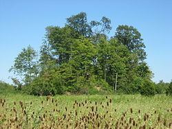 Great Mound (Middletown, Ohio) httpsuploadwikimediaorgwikipediacommonsthu