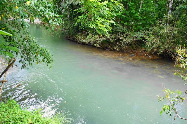 Great River (Jamaica) The Great River St James amp Hanover Jamaica Flickr