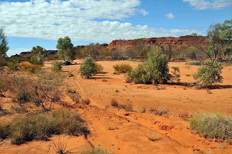 Great Sandy Desert Western Australia For Everyone Little Sandy Desert