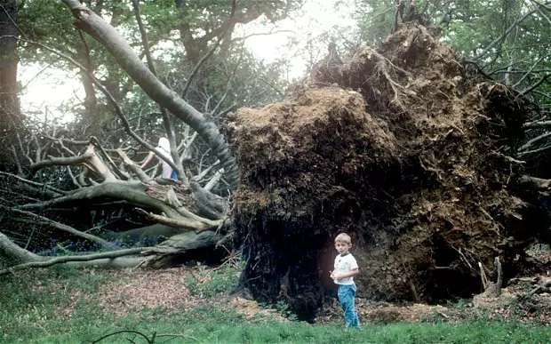 Great Storm of 1987 The Great Storm of 1987 what happened 26 years ago Telegraph