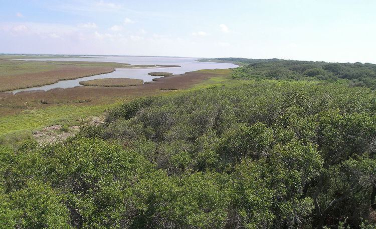 Great Texas Coastal Birding Trail