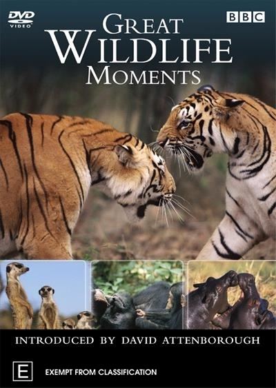Great Wildlife Moments wwwsanitycomaumediaImagesfullimage261179TS