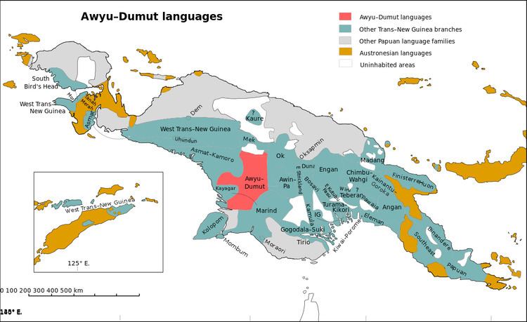 Greater Awyu languages