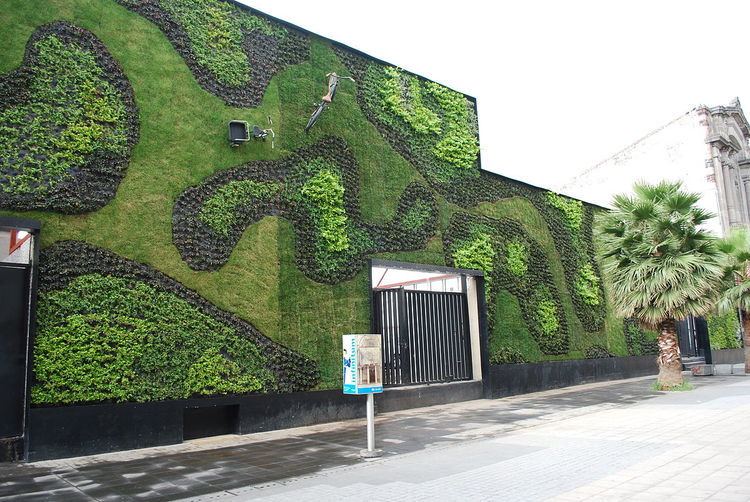 Green building in Mexico