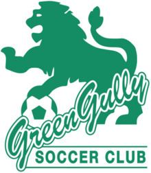 Green Gully SC httpsuploadwikimediaorgwikipediaenthumb5