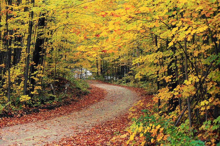 Green Mountain National Forest