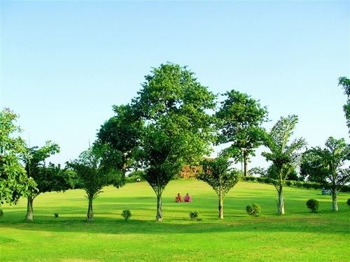Green Park, Delhi httpspbstwimgcomprofileimages551340196Gre