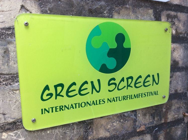 Green Screen film festival