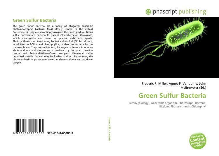 A page of a book about the green sulfur bacteria.