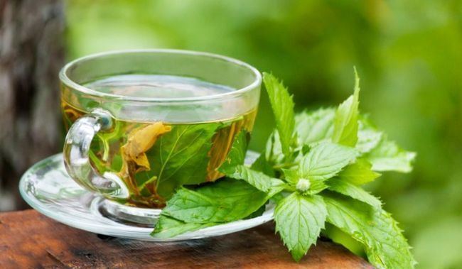 Green tea 7 Amazing Benefits of Green Tea What Makes it So Healthy NDTV Food