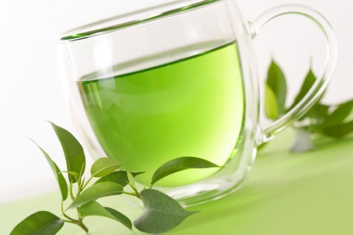 Green tea Green Tea Health Benefits Facts and Research Medical News Today