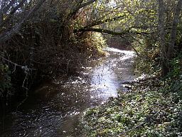 Green Valley Creek httpsuploadwikimediaorgwikipediacommonsthu